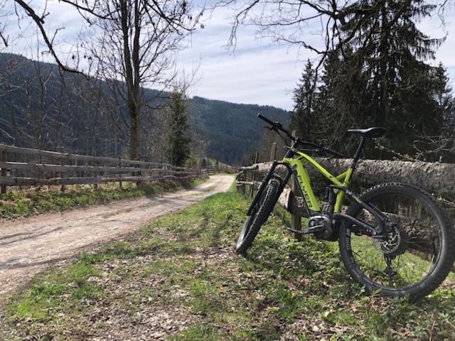 Appartement Freiraum Sankt Martin am Tennengebirge Exteriör bild