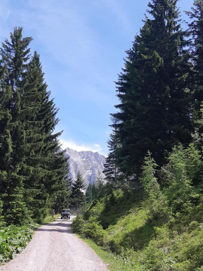 Appartement Freiraum Sankt Martin am Tennengebirge Exteriör bild