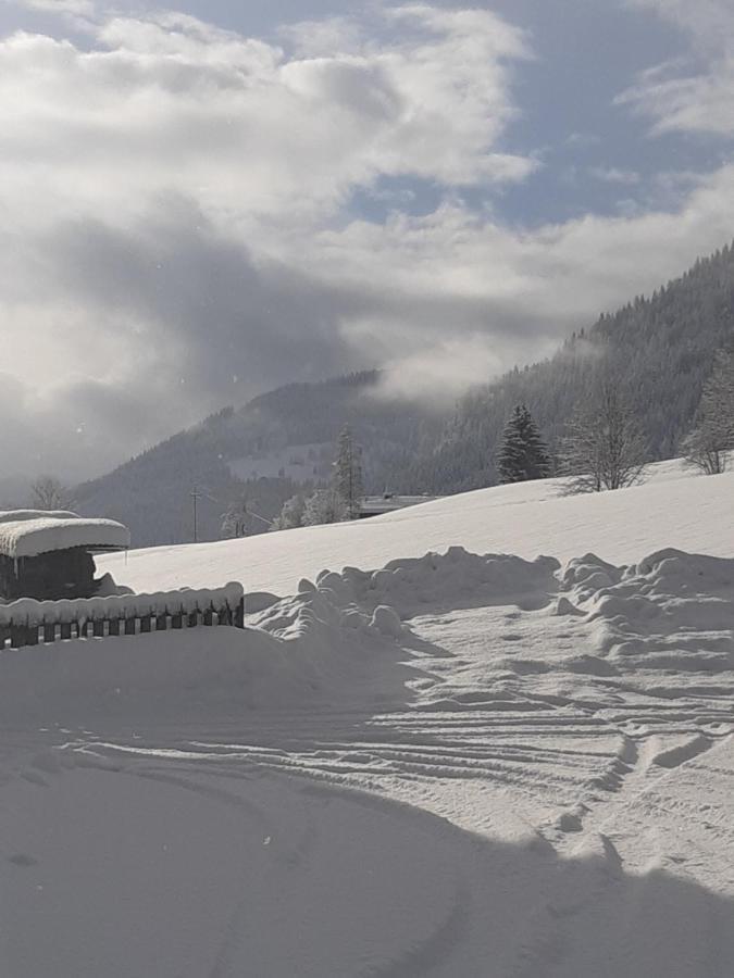Appartement Freiraum Sankt Martin am Tennengebirge Exteriör bild