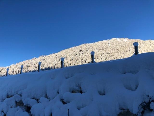 Appartement Freiraum Sankt Martin am Tennengebirge Exteriör bild