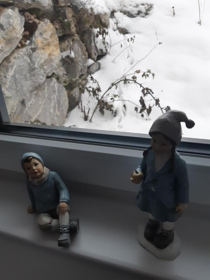 Appartement Freiraum Sankt Martin am Tennengebirge Exteriör bild